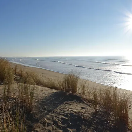 La Miscandiere By Interhome Holiday home Saint-Georges-d'Oleron